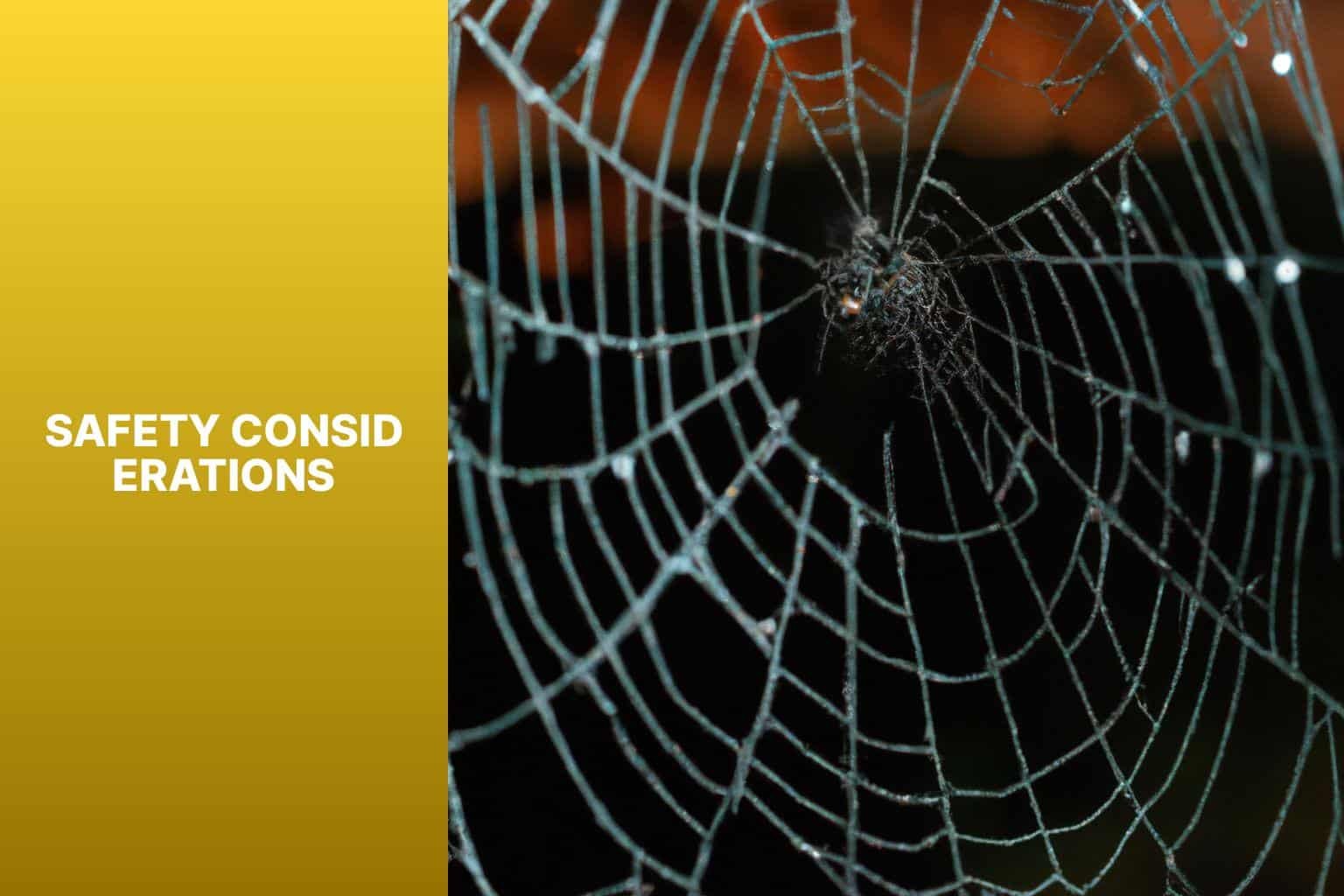 Safety Considerations - best way to hang halloween spider web 