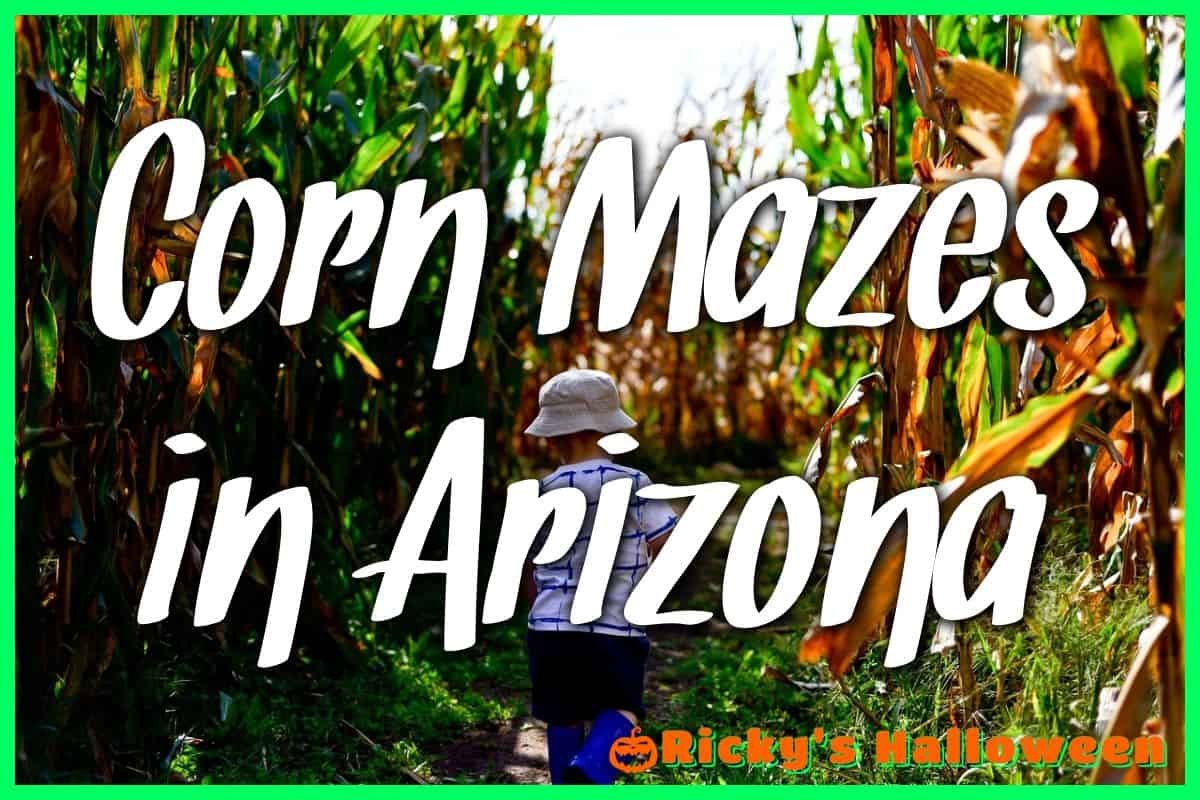 Corn Mazes in Arizona