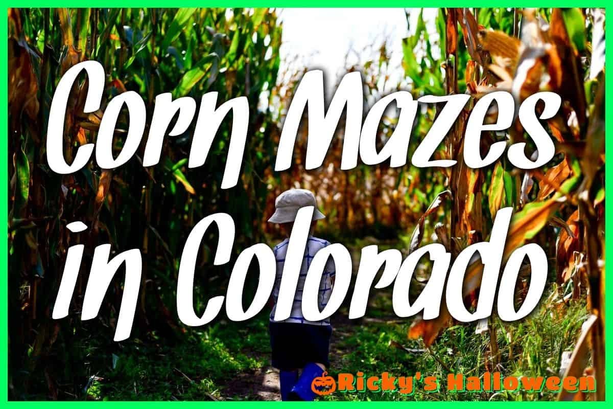 Corn Mazes in Colorado