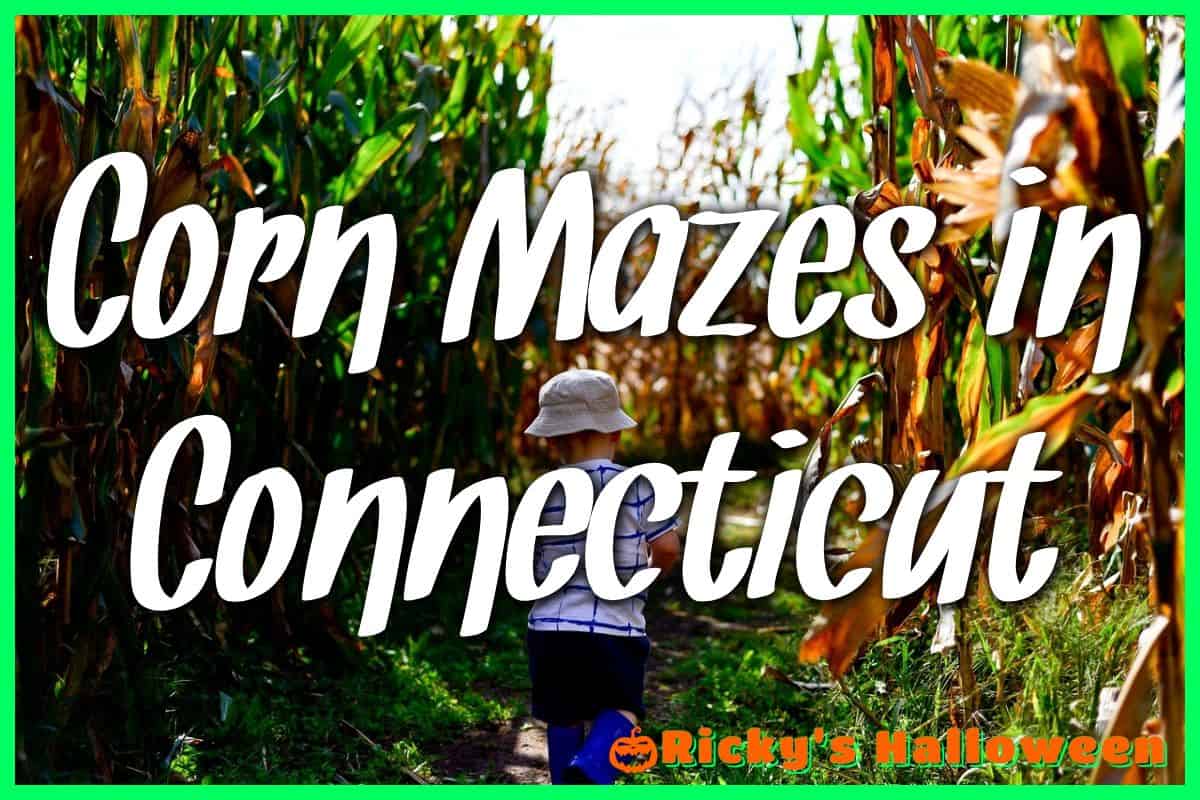 Corn Mazes in Connecticut