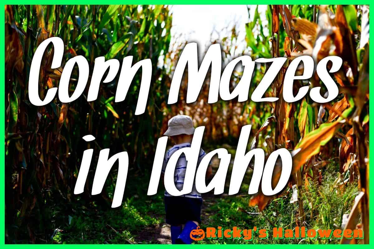 Corn Mazes in Idaho