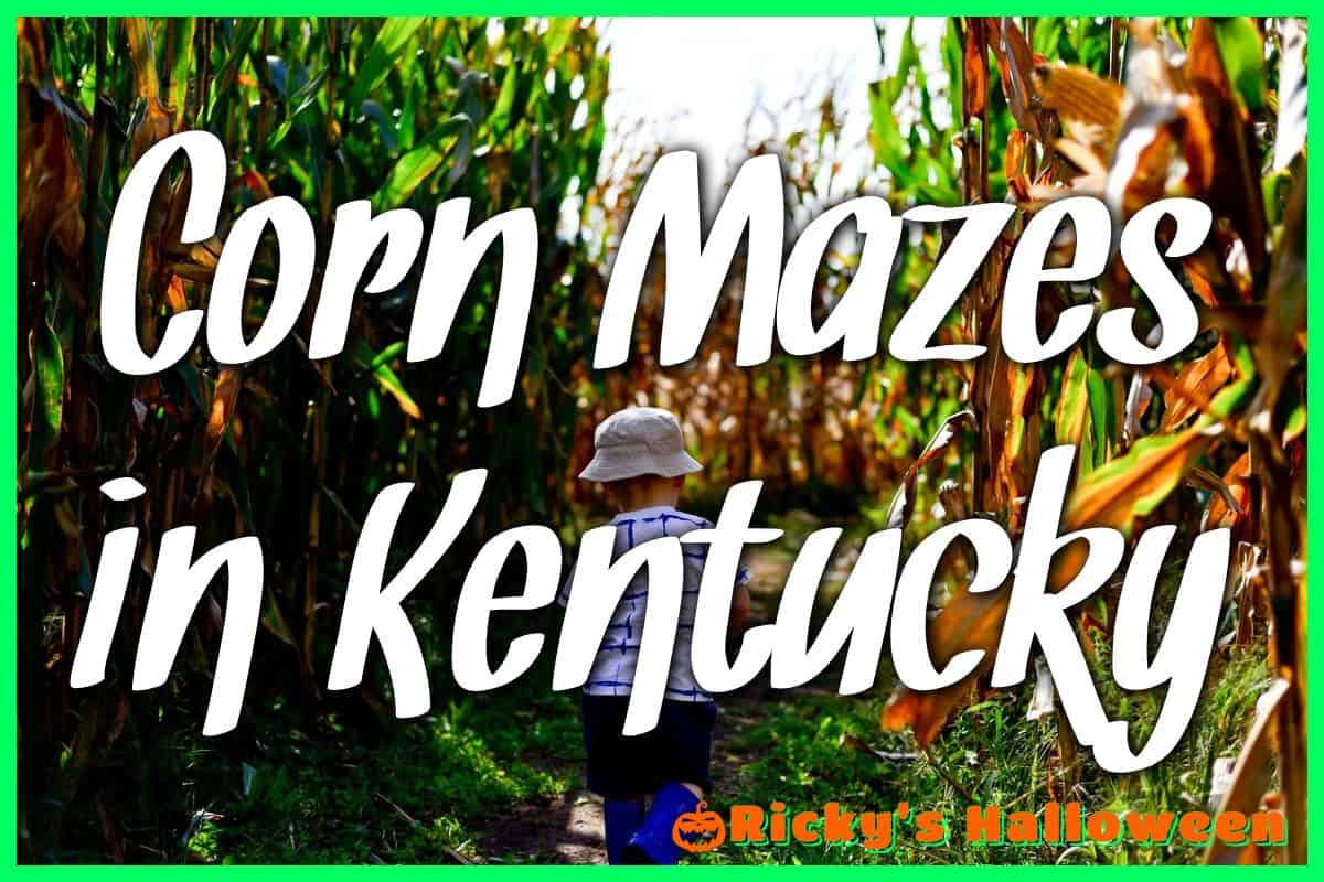 Corn Mazes in Kentucky