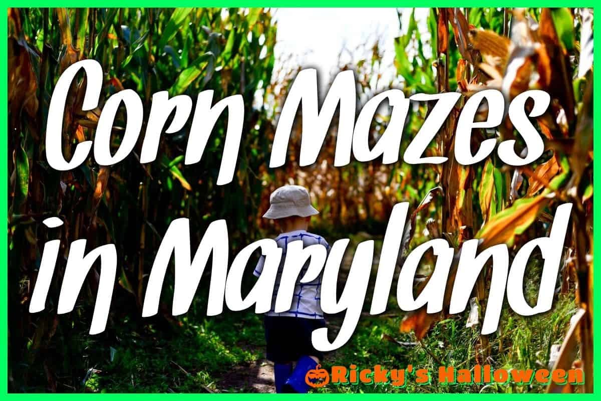 Corn Mazes in Maryland