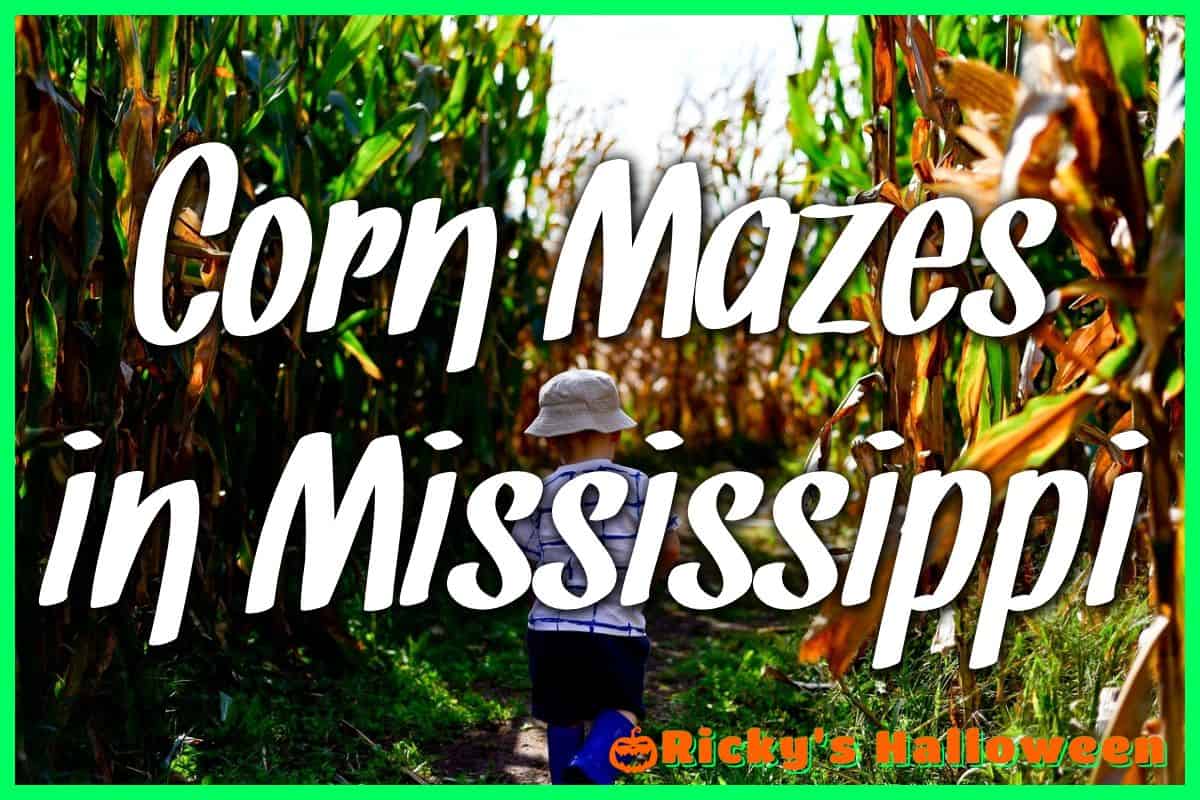 Corn Mazes in Mississippi