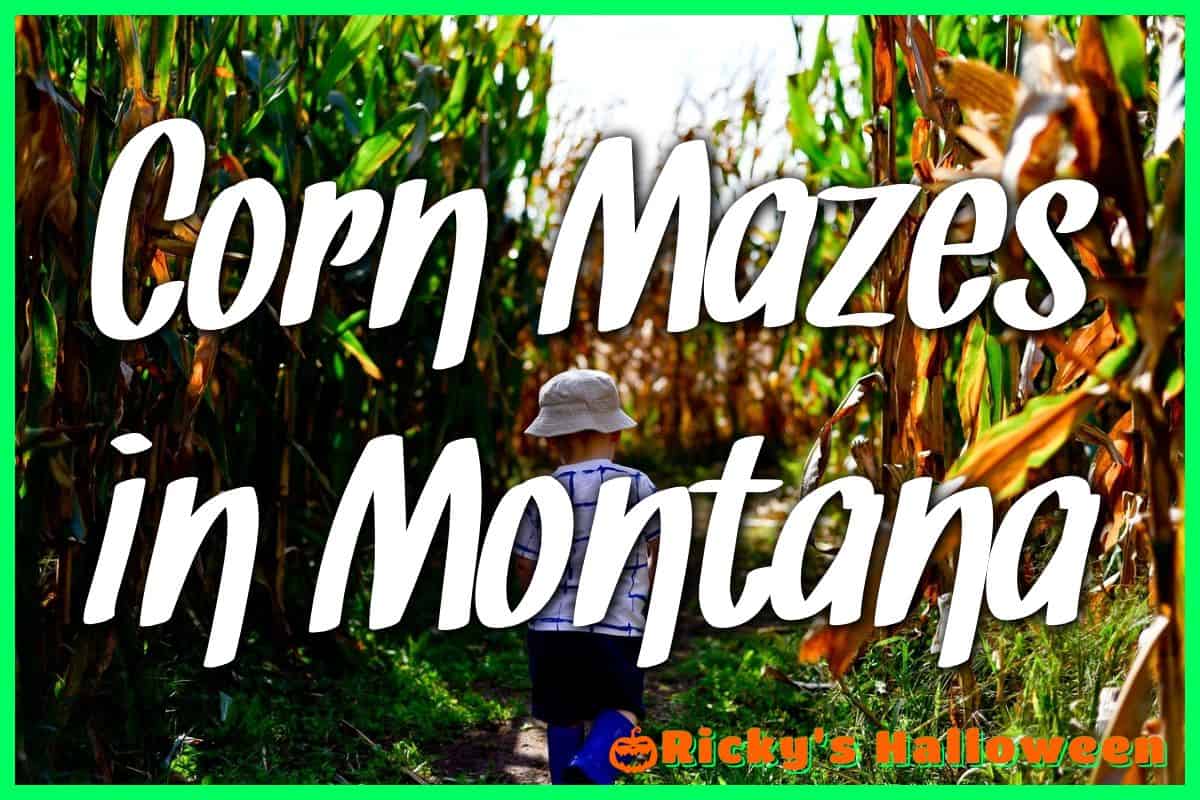 Corn Mazes in Montana