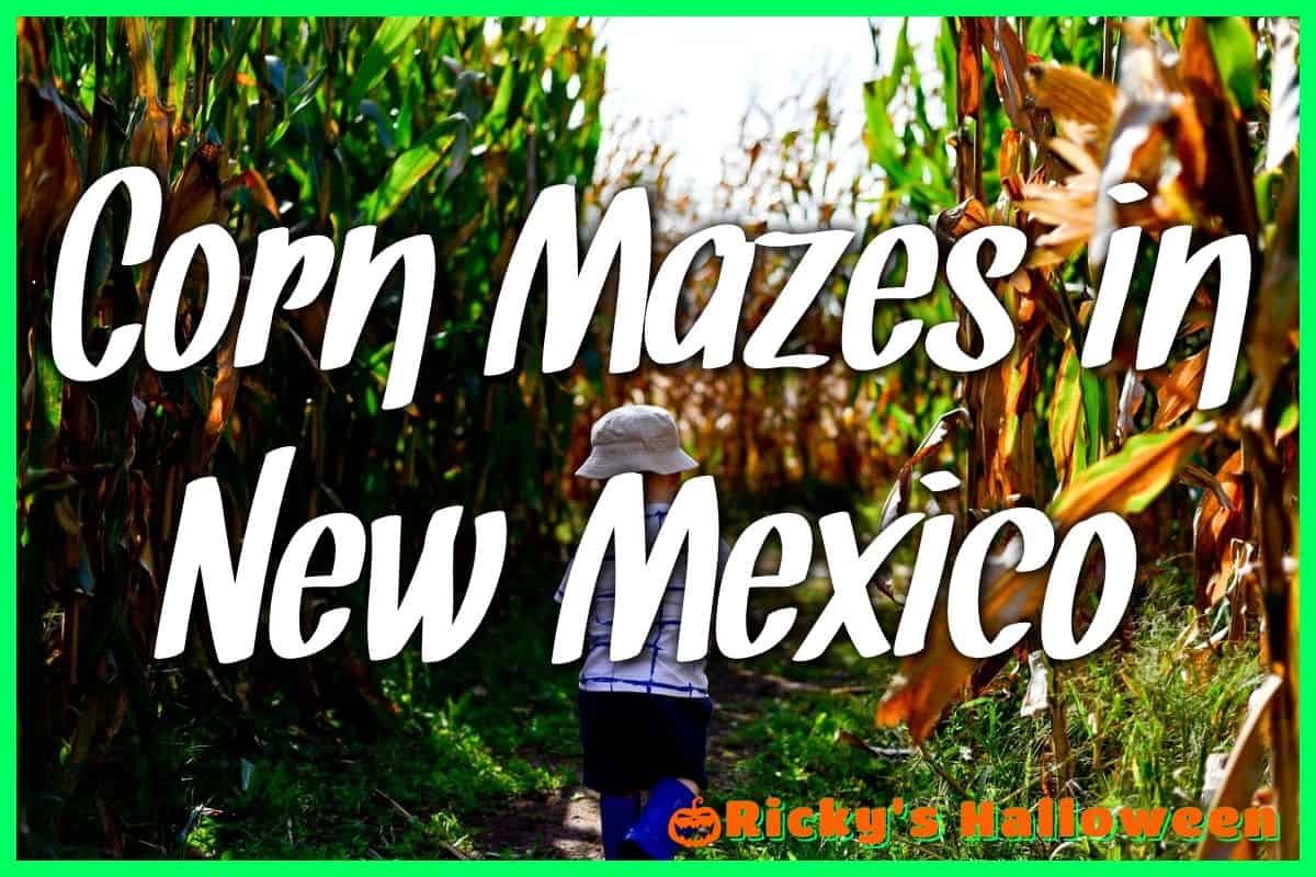 Corn Mazes in New Mexico