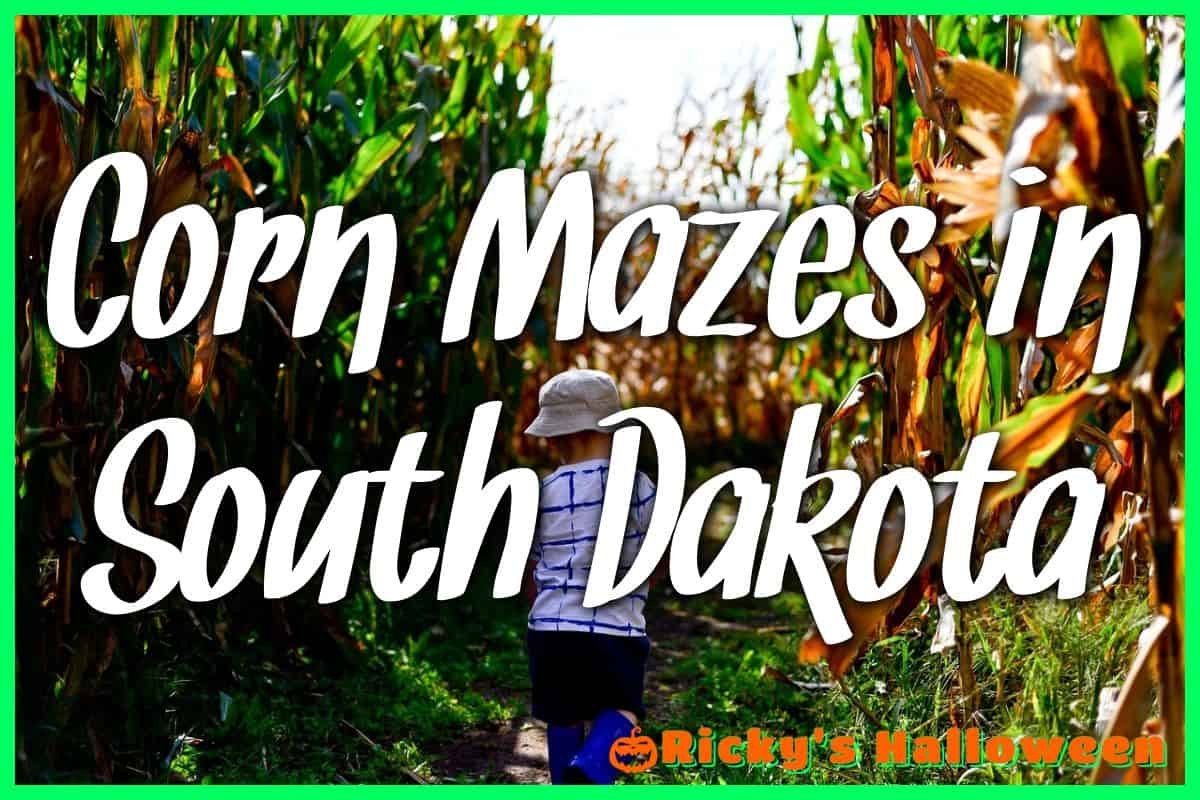 Corn Mazes in South Dakota