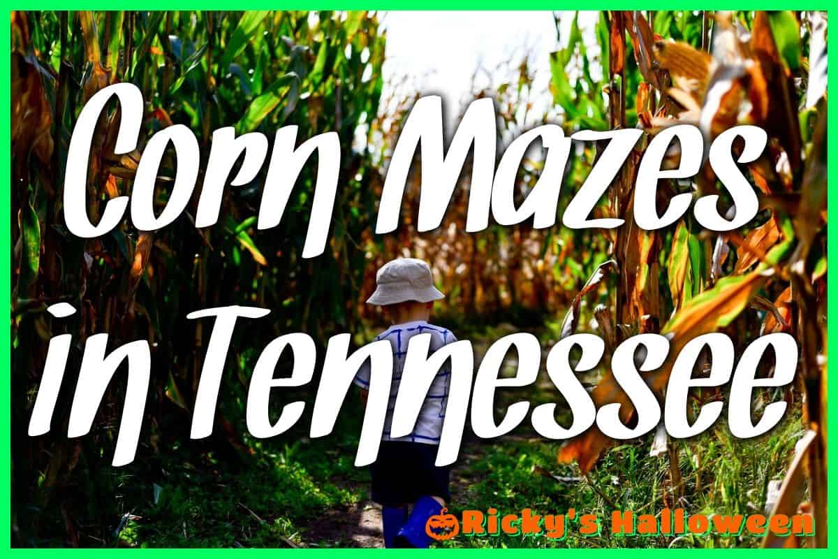 Corn Mazes in Tennessee