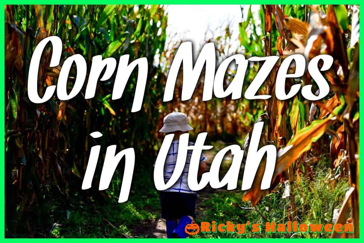 Corn Mazes in Utah