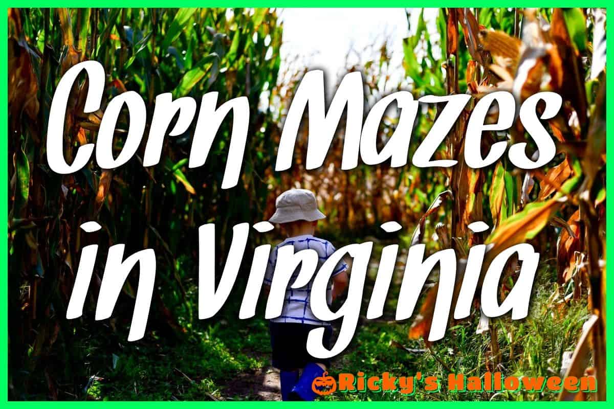 Corn Mazes in Virginia