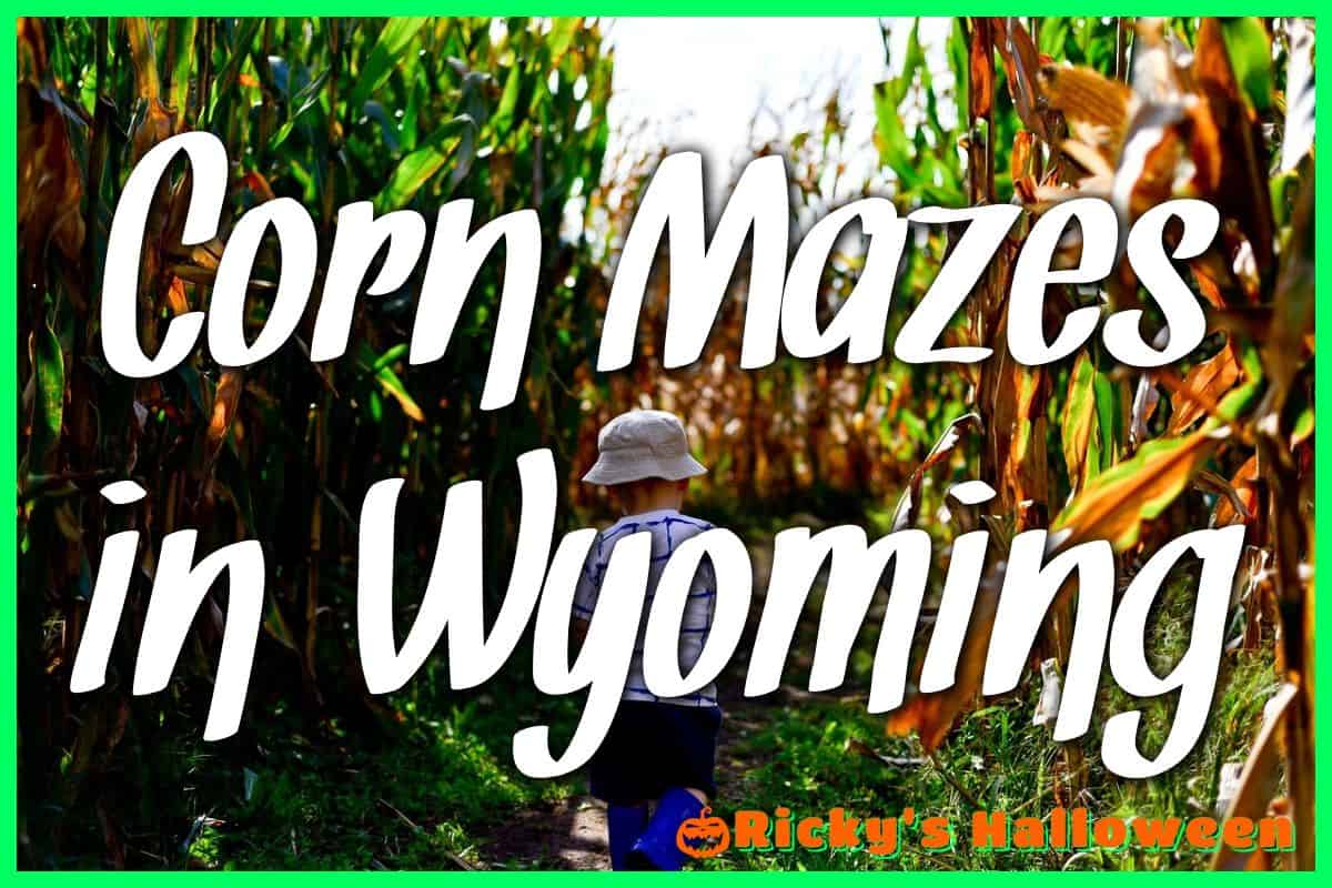 Corn Mazes in Wyoming