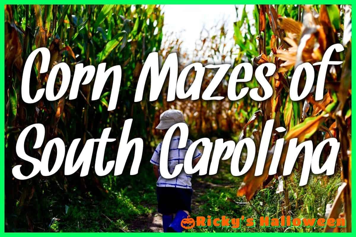 Corn Mazes of South Carolina