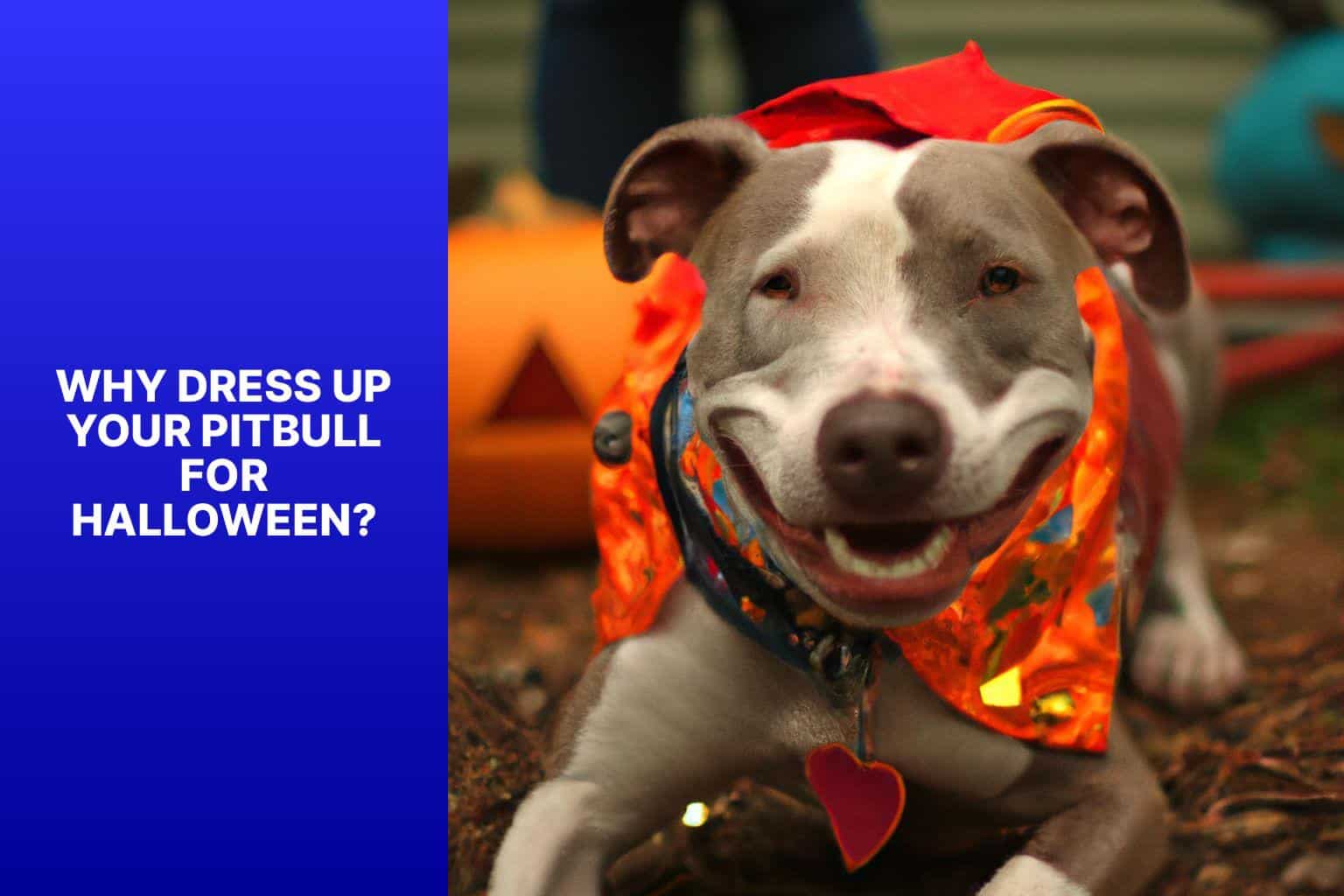 Why Dress Up Your Pitbull for Halloween? - halloween costumes for pitbulls 
